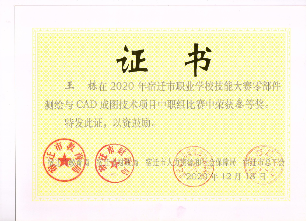 王栋 三等奖