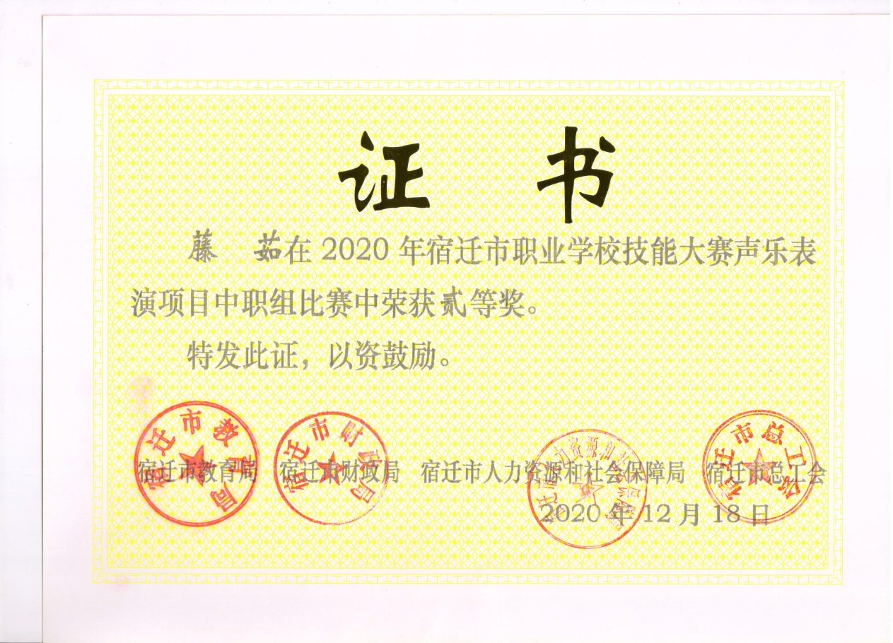 藤茹 二等奖